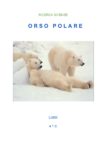 ORSO POLARE