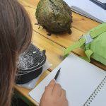 ragazza che prende appunti